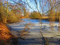 Farské jezero (Hradec Králové)