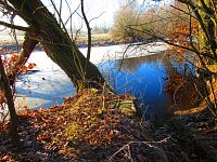 Farské jezero (Hradec Králové)