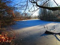 Farské jezero (Hradec Králové)