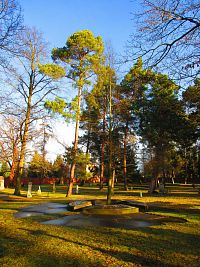 Vojenský hřbitov na Pouchově (Hradec Králové)