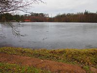 Rybník Němeček (Jinolice)