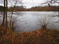 Rybník Němeček (Jinolice)