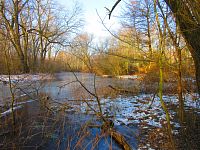 Rybník Nová voda (Chudeřín u Litvínova)