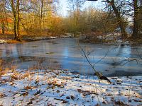 Rybník Nová voda (Chudeřín u Litvínova)