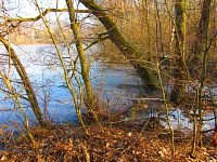 Rybník Nová voda (Chudeřín u Litvínova)