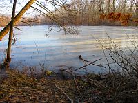 Rybník Nová voda (Chudeřín u Litvínova)