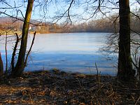 Rybník Nová voda (Chudeřín u Litvínova)