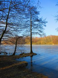 Rybník Rudý sever (Hamr u Litvínova)