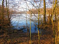 Rybník Rudý sever (Hamr u Litvínova)