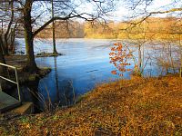 Rybník Rudý sever (Hamr u Litvínova)