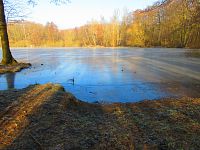 Rybník Rudý sever (Hamr u Litvínova)