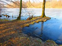 Rybník Rudý sever (Hamr u Litvínova)