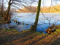 Rybník Rudý sever (Hamr u Litvínova)