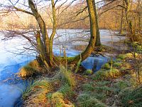 Rybník Rudý sever (Hamr u Litvínova)