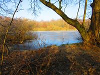 Rybník Rudý sever (Hamr u Litvínova)