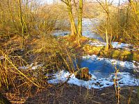 Rybník Rudý sever (Hamr u Litvínova)