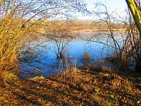 Rybník Propadlina (Dolní Jiřetín)