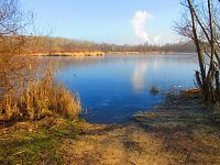 Rybník Propadlina (Dolní Jiřetín)