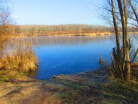 Rybník Propadlina (Dolní Jiřetín)