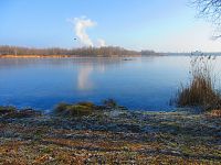 Rybník Propadlina (Dolní Jiřetín)