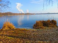 Rybník Propadlina (Dolní Jiřetín)