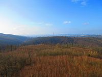 Výhled z rozhledny U Lidušky (Bílovice nad Svitavou)