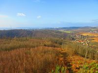 Výhled z rozhledny U Lidušky (Bílovice nad Svitavou)