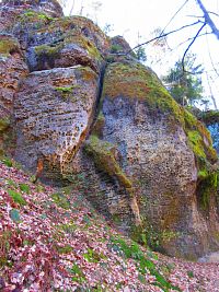 Údolí Kačina (Mšeno)