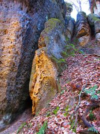 Údolí Kačina (Mšeno)