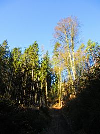 Údolí Kačina (Mšeno)