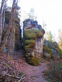 Údolí Kačina (Mšeno)