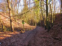 Údolí Kačina (Mšeno)