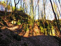 Údolí Kačina (Mšeno)