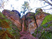 Údolí Kačina (Mšeno)