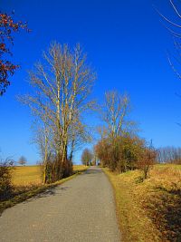 Hřibojedská cesta (Hvězda)