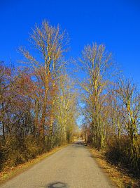 Hřibojedská cesta (Hvězda)