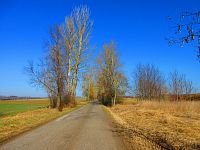 Hřibojedská cesta (Hvězda)