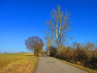 Hřibojedská cesta (Hvězda)
