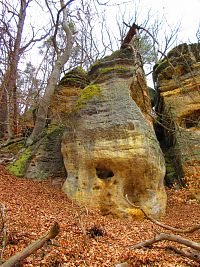 Skalní útvary mezi Mlčení a Harasovem (Kokořínský Důl/Janova Ves)