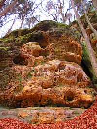 Skalní útvary mezi Mlčení a Harasovem (Kokořínský Důl/Janova Ves)