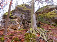 Skalní útvary mezi Mlčení a Harasovem (Kokořínský Důl/Janova Ves)