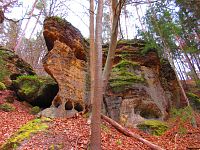 Skalní útvary mezi Mlčení a Harasovem (Kokořínský Důl/Janova Ves)
