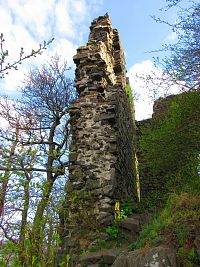 Zřícenina hradu Ronova (Blíževedly)