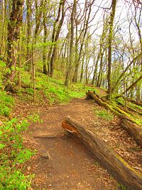 Kopec Ronov (Blíževedly)