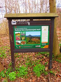Informační panel pod Ronovem (Blíževedly)