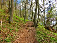 Kopec Ronov (Blíževedly)