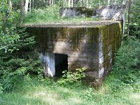 Přírodní památka Běleč-střelnice (Běleč nad Orlicí)