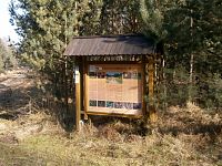 Přírodní památka Běleč-střelnice (Běleč nad Orlicí)