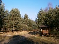 Přírodní památka Běleč-střelnice (Běleč nad Orlicí)