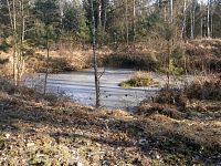 Přírodní památka Běleč-střelnice (Běleč nad Orlicí)